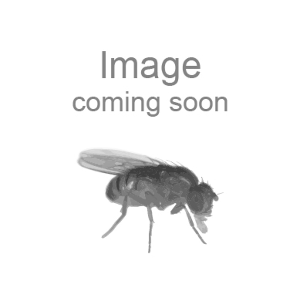Image coming soon