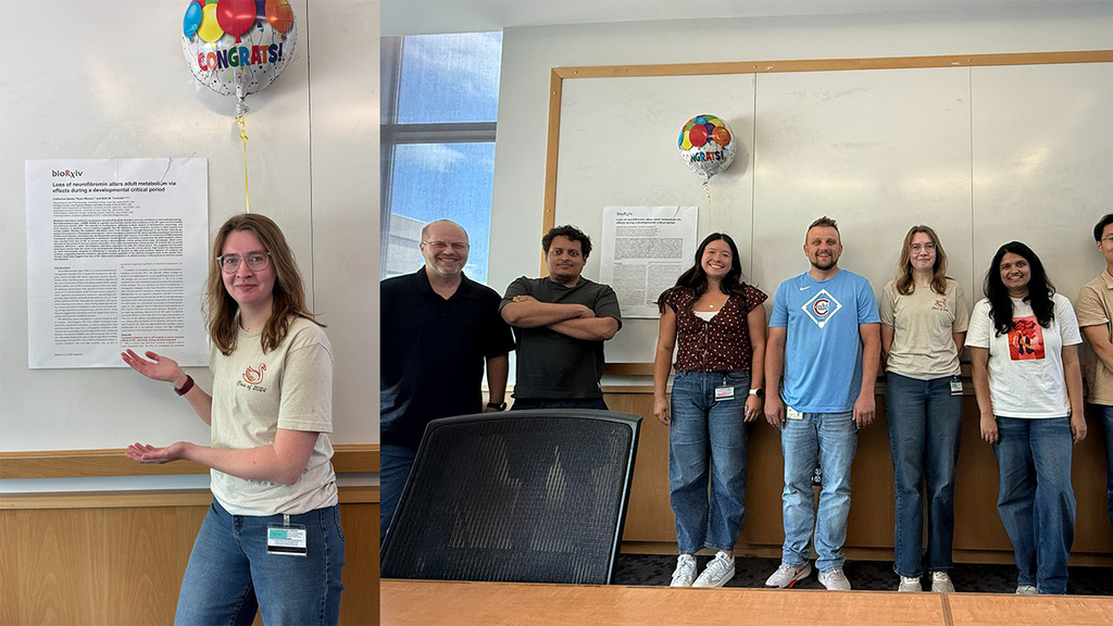 Lab members in a conference room hosting a celebration
